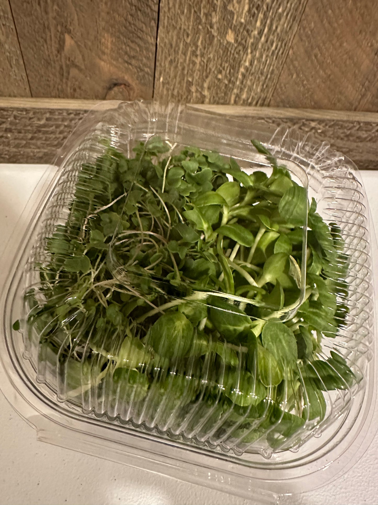 Broccoli Microgreens