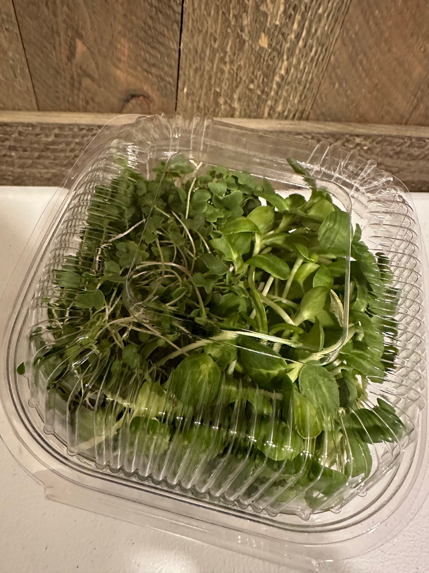 Sunflower Microgreens